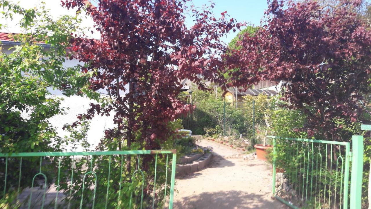 Apartments Zum Brauergang Garz  ภายนอก รูปภาพ